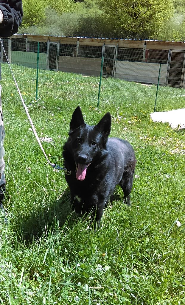 Missy du Château d'Erros